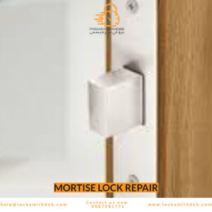 Mortise Lock Repair